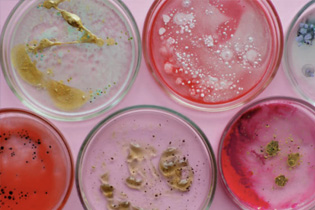 化妝品微生物測試